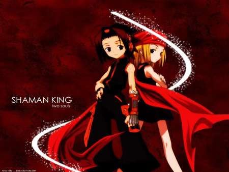 Shaman King - souls, anime, two, shaman king