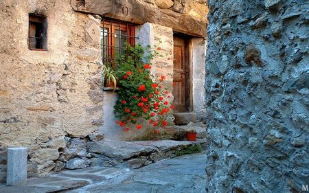 	best stone street - flowers, street, house, stone