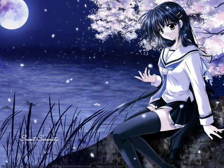 Anime Student - moon, blossoms, anime, student