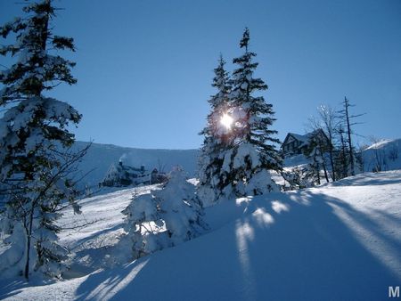 mountains in Poland - poland, mountain, snow