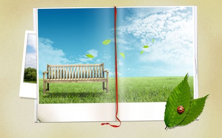 Spring Turns To Summer - ladybug, sky, abstract, clouds, leaves, summer, bench, spring