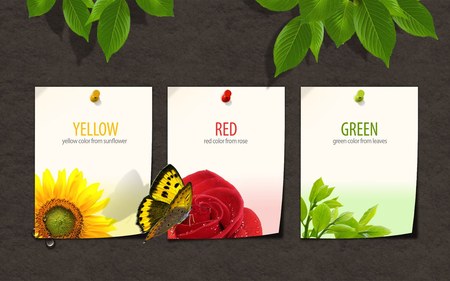 The Colors OF Spring - sunflower, rose, butterfly, abstract, yellow, red, leaves, green, flowers