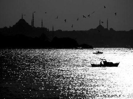 Istanbul's silhouette - istanbul, nature, boat, sea, silhouette, mosque