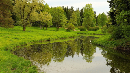 Beautiful Lush Green - lush, trees, beautiful, stream, green, grass