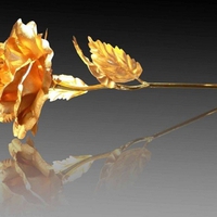 "Gold Rose" for your birthday, my friend Monica F."octoberandapril69" :)