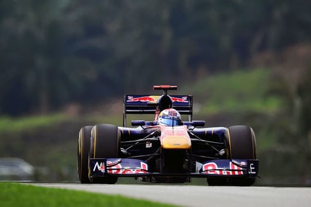 Sebastien Buemi - buemi, sebastien, rosso, toro