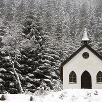 church in the forest