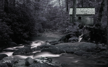 abandoned cabin - rock, forest, water, cabin