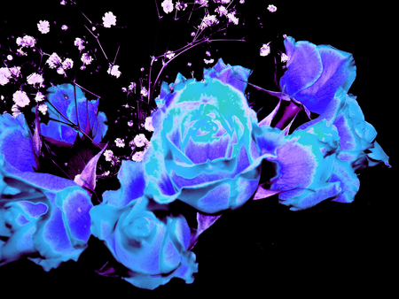 Roses_for-Cinzia - art, light, blue, 3d, flowers, rose