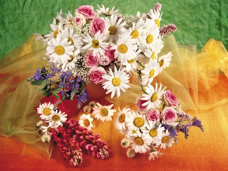 STILL LIFE - daisies, flowers, orange, nature