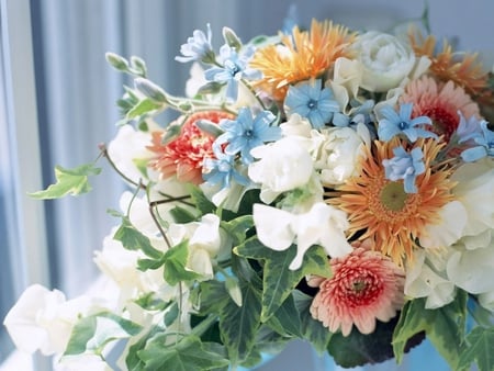 STILL LIFE - daisies, flowers, white, nature