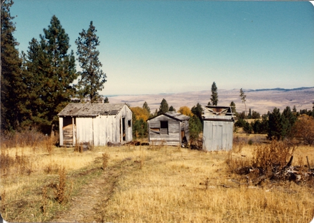 Old Buildings - nature, farm, trees, landscape, buildings