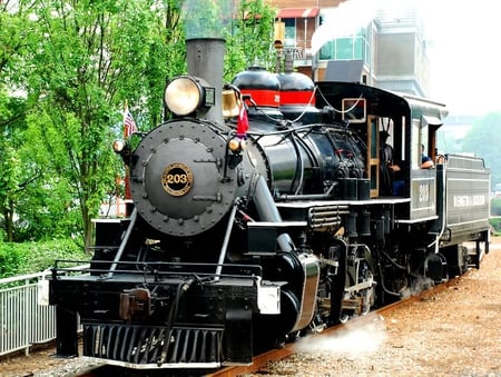 Looking Rail Worthy - train, trees, engine, tracks