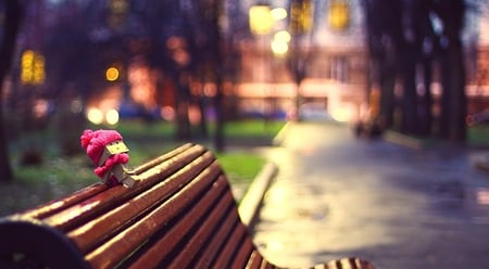 Cold evening for Danbo - danbo, cold, evening, park, bench