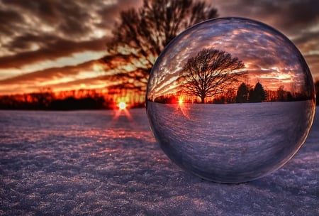 On the Bubble - globe, ball, beautiful, snow, tree, bubble, sunset, blanket, mirror, reflective, golden