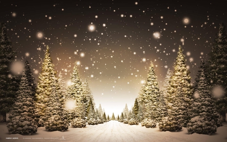 Sepia Snow - path, black, christmas, white, pretty, sepia, tan, snow, tree, lane