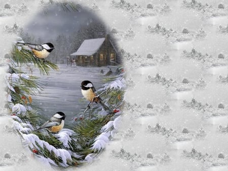 Birds - christmas, bird, grey, winter, nature, snow