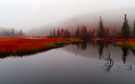 â•°â˜†â•®áƒ¦ â€beautiful natureâ€áƒ¦ â•°â˜†â•® - nature, water, manizyn, mountain