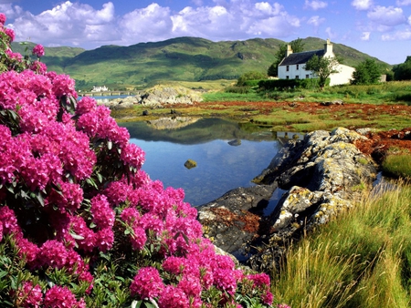 Scottish Landscape - flowers, house, beautifullandscape, water, scottish, mountains