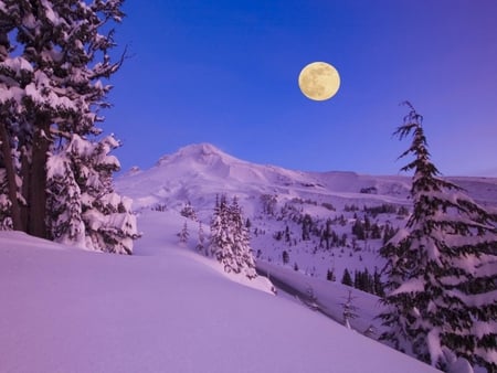 Full Moon at Dawn - morning, trees, dawn, snow, full moon, mountains, lovely