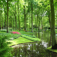 Gardens of Keukenhof.