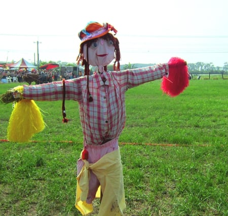 Scarecrow in the field - field, scarecrow, ox cart, grass