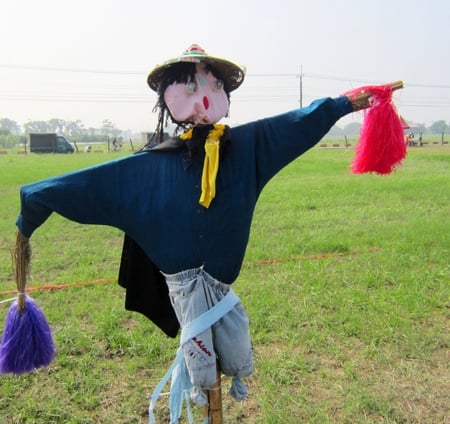 Scarecrow in the field - field, scarecrow, ox cart, grass