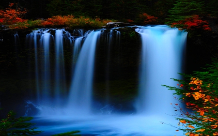 WATERFALLS at FALLS - plants, forest, autumn, falls