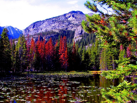 Mountain lake - red, peak, fall, blue, lake, nature, mountain, colors, autumn