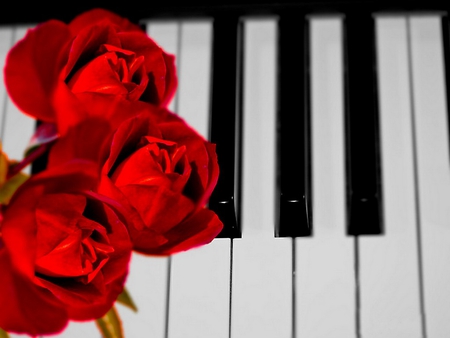 Soft music with scent of roses - nice, roses, soft, music, lovely, piano, pretty, beautiful, scent, flowers