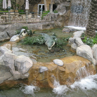 Rainforest Cafe Galveston