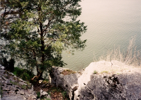 Percy Priest Lake in Tn. - water, summer, rock, lake, tree