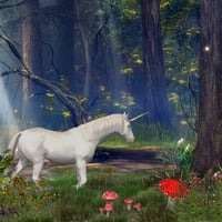 A WANDERING UNICORN