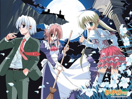 Hayate no Gotoku Under A Full Moon - maria, hayate no gotoku, white flowers, hayate ayasaki, nagi sanzenin, full moon