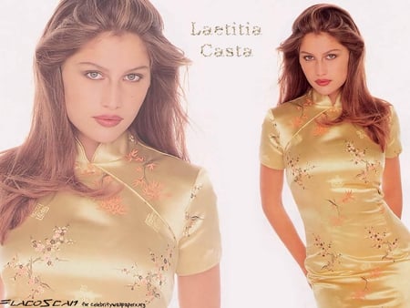 Laetitia Casta - female, picture, laetitia, 2011, 14, model, 11