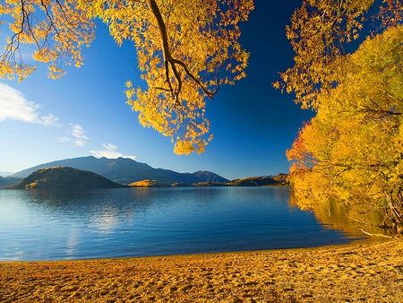 Autumn beach - branches, water, blue, beach, colors, leaves, fall, river, autumn, lake