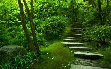 Stairway to Heaven. - stair, step, green, tree, rock, garden