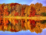 Lake Reflections