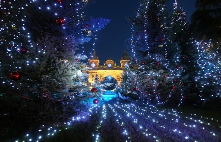 LIGHTS - holidays, trees, red, blue, christmas, lights