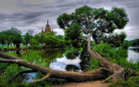 DIVINE LAKE - cathedral, clouds, nature, cloud, lake, tree