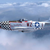 P51 MUSTANG