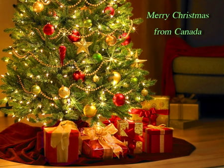 Merry Christmas - christmas, canada, gifts, lights, greeting, tree