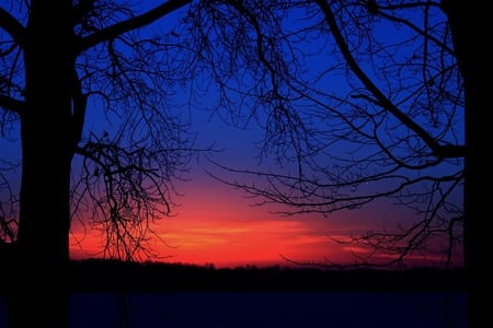 winter sunset - trees, winter, sunset, nature, blue, red, sky