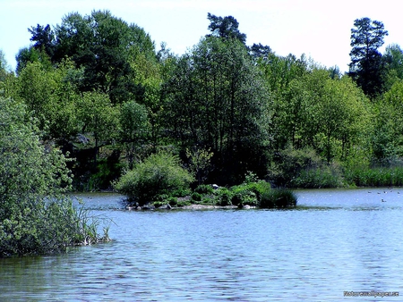 Isle in Blue - tree in lake, sky, blue lake, trees