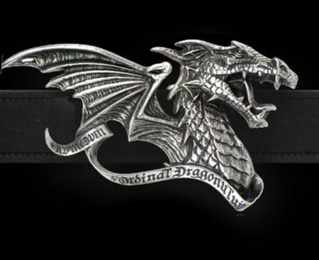 ORDER OF THE DRAGON - usa, symbol, photography, aciton