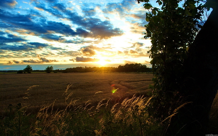 Sun rise - nature, 15, 2011, sunrise, 11