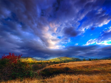 After the Storm - clouds, trees, mountains, carpathian