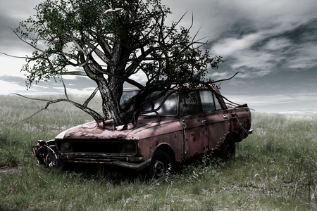 WOW - car, picture, 15, 2011, tree, 11