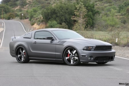 CGS Performance Products - ford, 2010, custom, gray