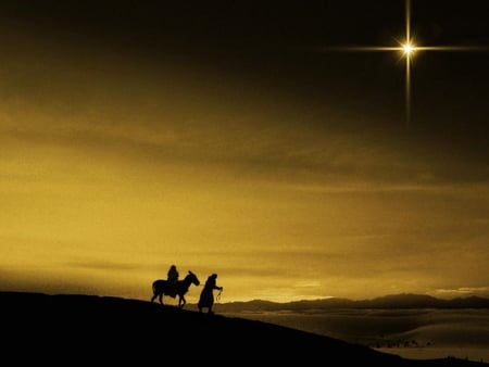 THE NATIVITY STAR